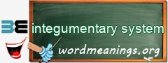 WordMeaning blackboard for integumentary system